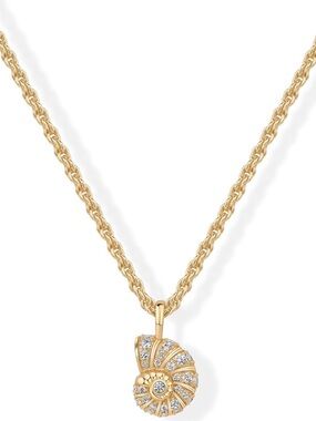 14K Gold Plated Seashell Pendant Necklace Beachy Rope Chain